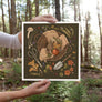 Fall Foraging