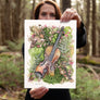 Fiddle in the Ferns