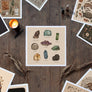 Gems and Minerals