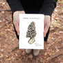 Morel