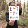 Mushrooms of West Virginia
