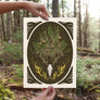 Old Growth