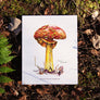 Orange Amanita Mushroom