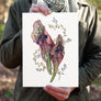 Pitcher Plant