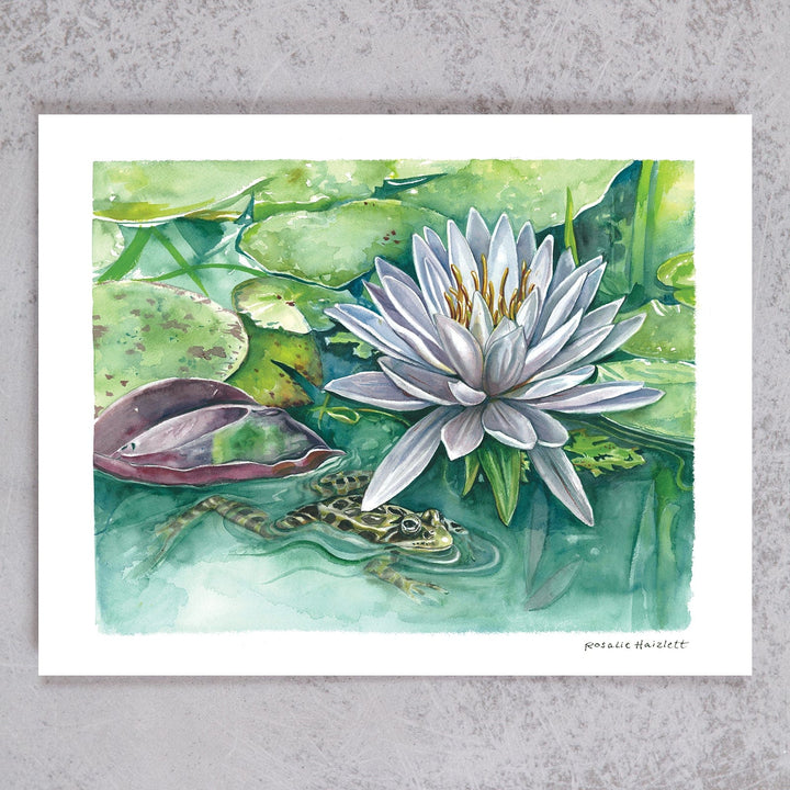 Water Lily & Leopard Frog
