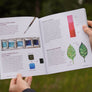 Watercolor in Nature
