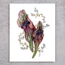 Pitcher Plant