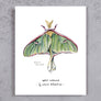 Luna Moth of West Virginia