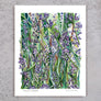Field of Lavender