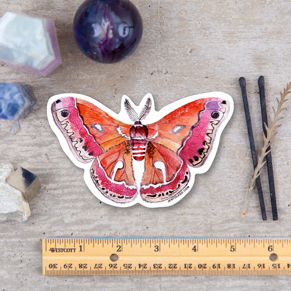 Cecropia Moth Sticker – TeaToucan