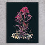 Desert Paintbrush