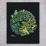 Forest Lichen