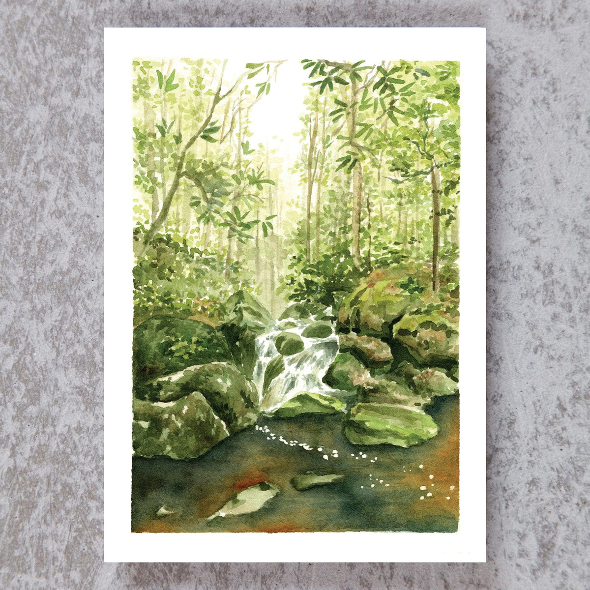 Otter Creek Wilderness, WV – thosewhobloom