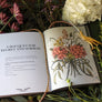 floriography illustrated flowers book by jessica roux