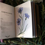 floriography illustrated flowers book by jessica roux