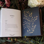 floriography illustrated flowers book by jessica roux