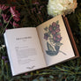 floriography illustrated flowers book by jessica roux