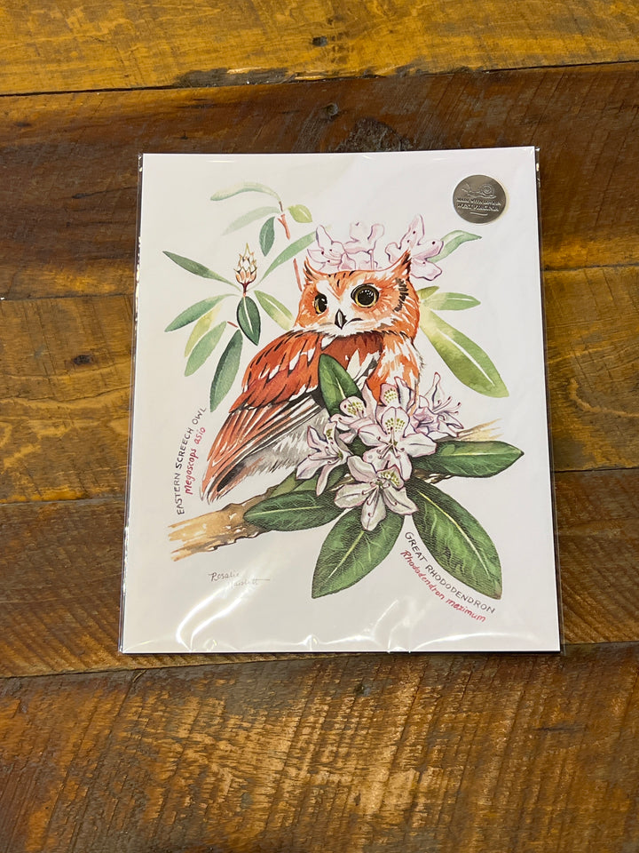 Screech Owl and Rhododendron