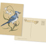 Blue Jay & Snowflake