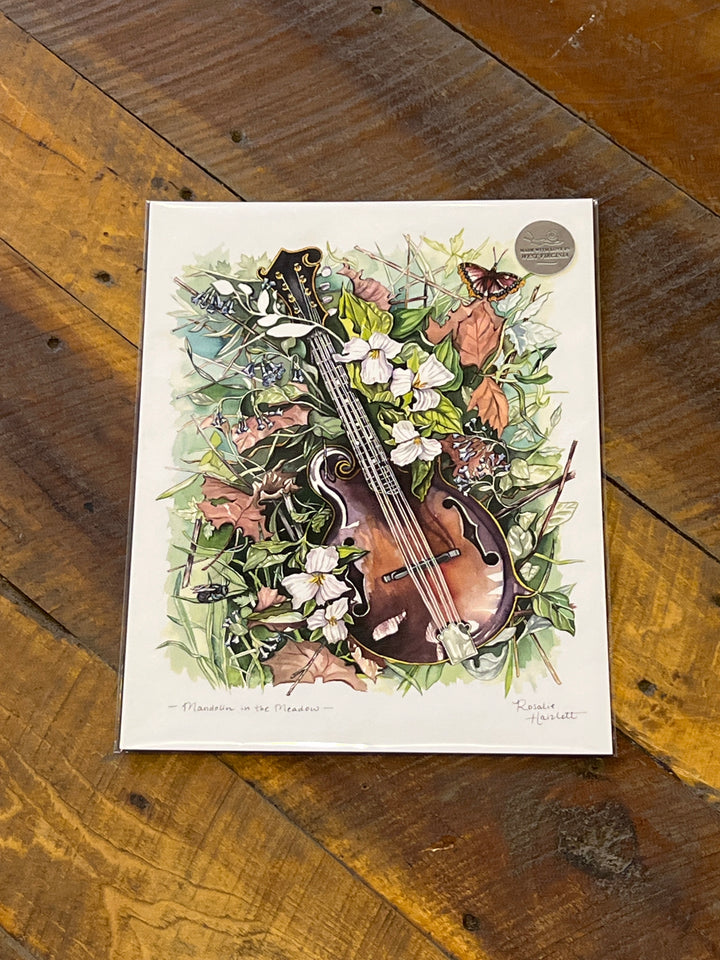 Mandolin in the Meadow