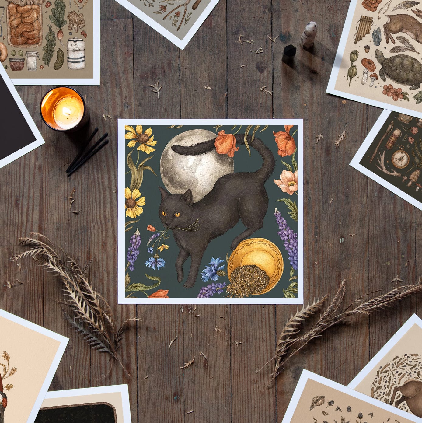 Black Cat and Full Moon – thosewhobloom
