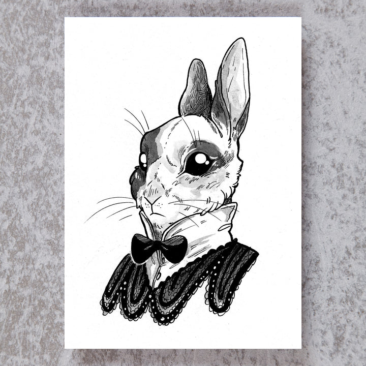 Fancy Rabbit