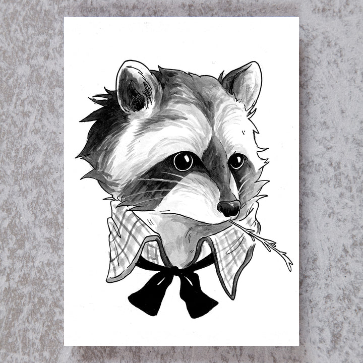 Fancy Raccoon