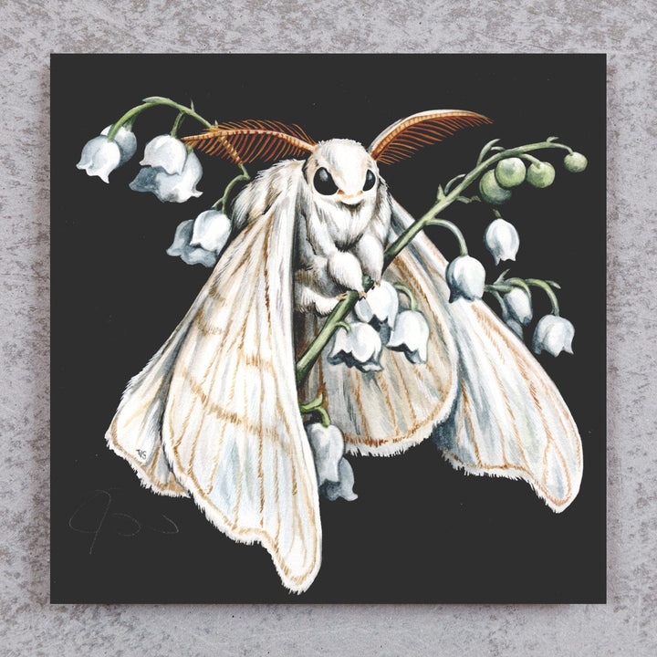 Moth + Lily of the Valley