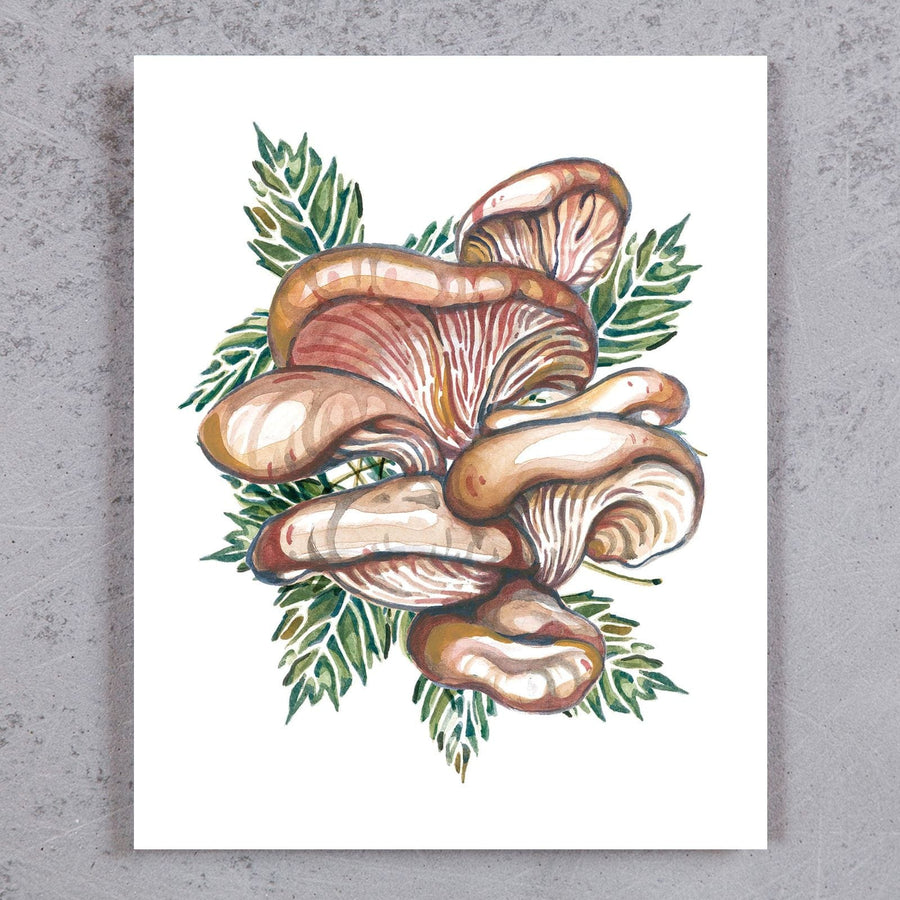 Oysters