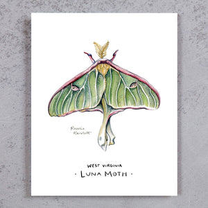 Luna Moth of West Virginia