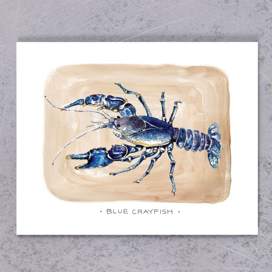 Blue Crayfish of West Virginia