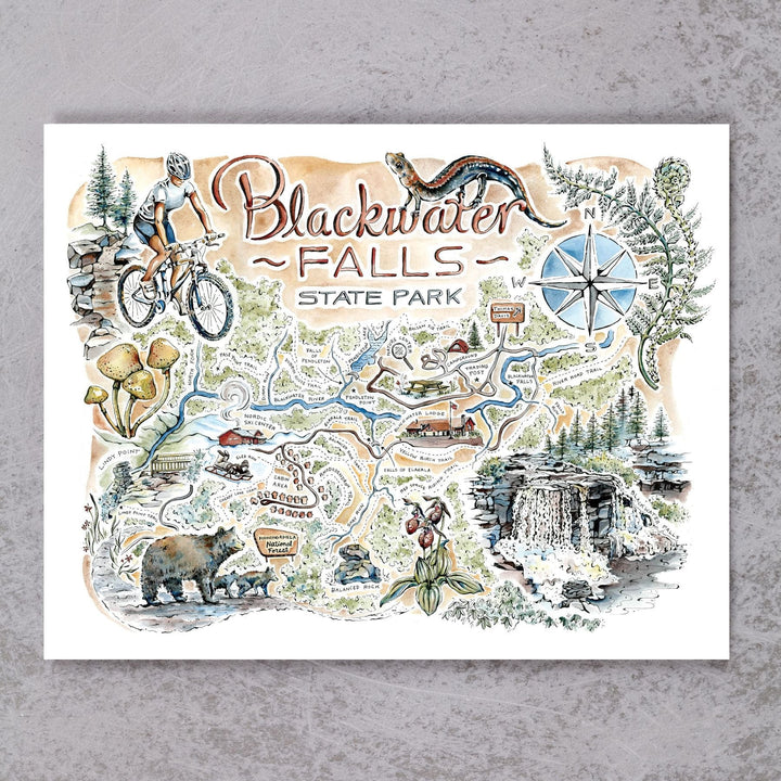 Blackwater Falls Map