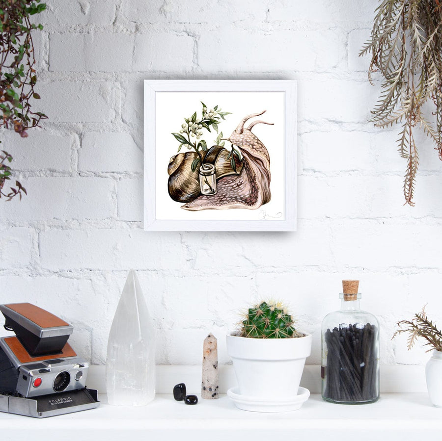 8"x8" Wooden Frames