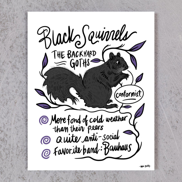 Black Squirrel