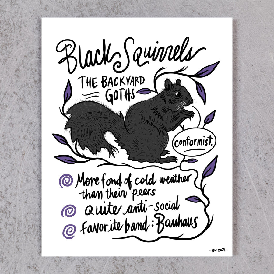 Black Squirrel