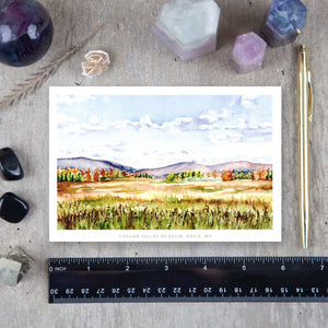 Canaan Valley Meadow