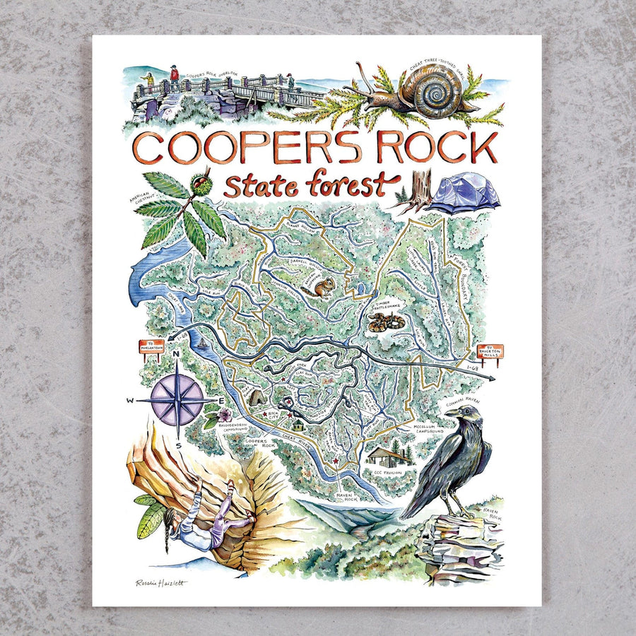 Coopers Rock State Forest Map