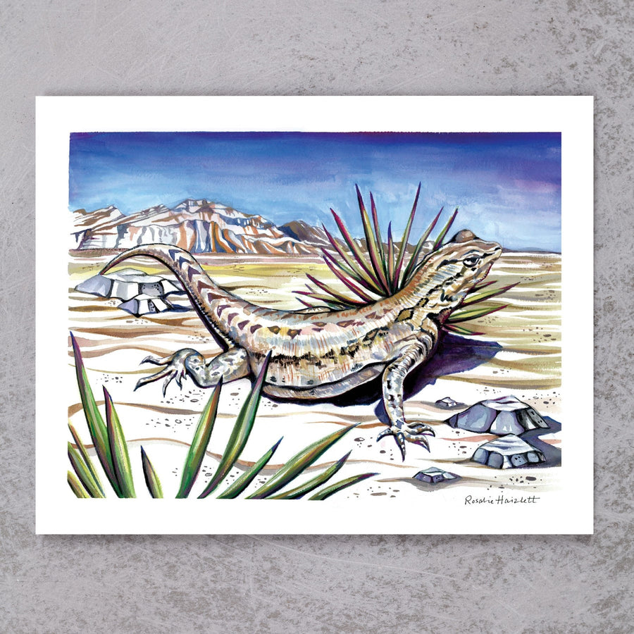 Fence Lizard and Yucca
