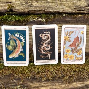 Woodland Wardens Oracle Card Deck