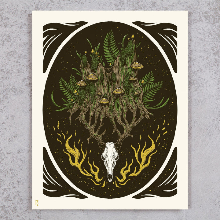 Old Growth