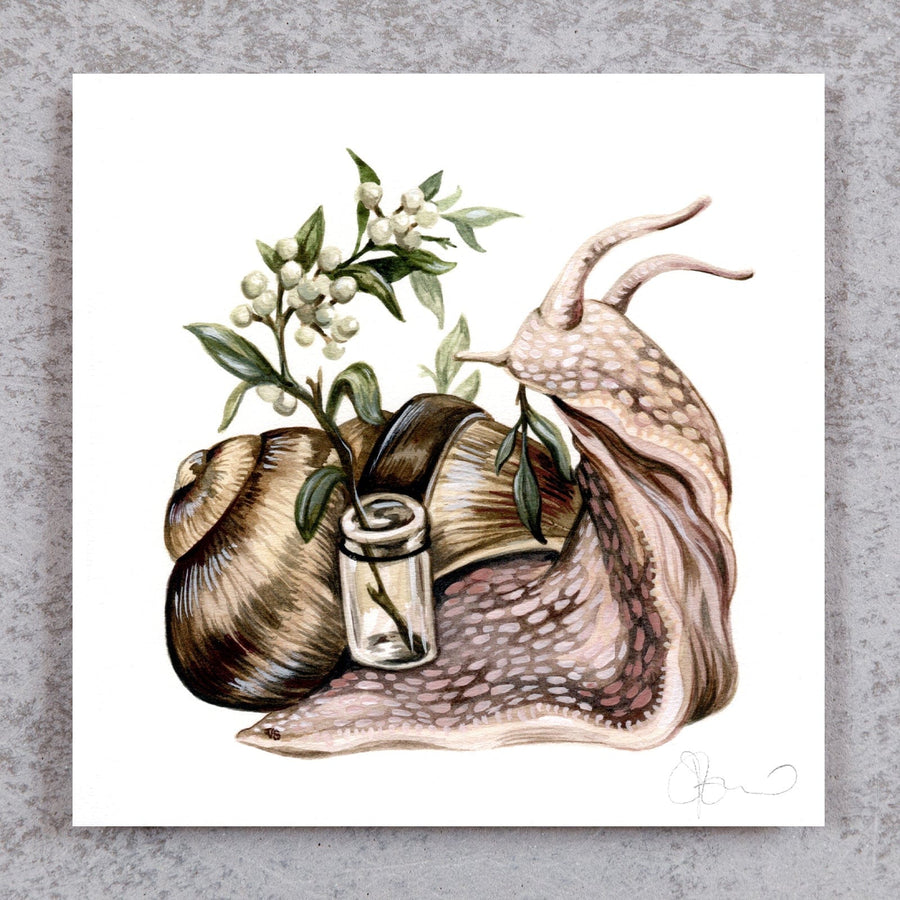 Snail Foraging