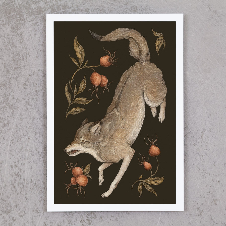 The Wolf and Rose Hips
