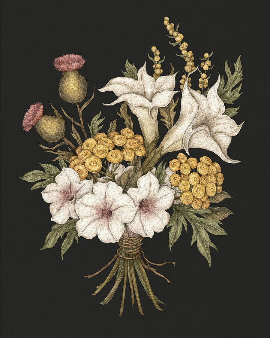 flower Illustration in floriography book