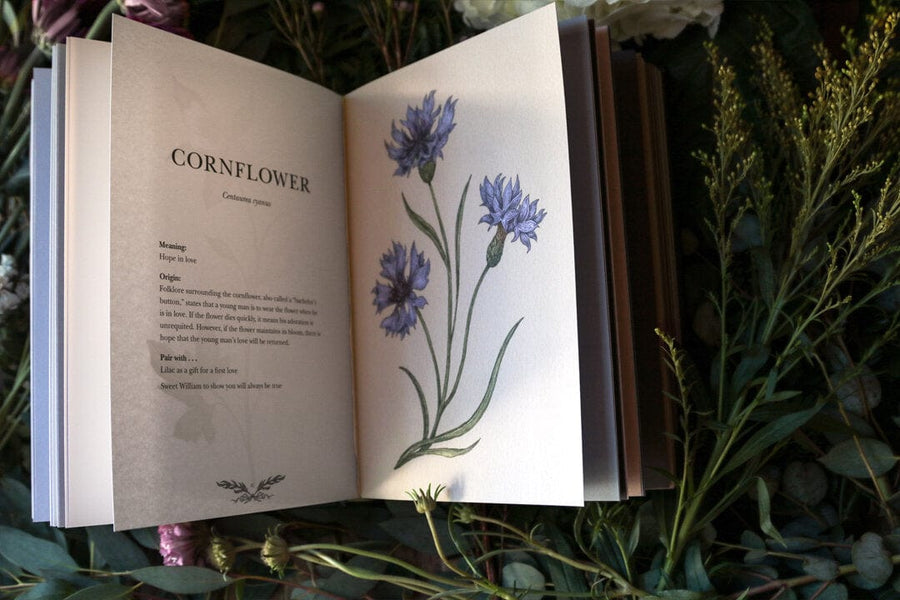 floriography illustrated flowers book by jessica roux